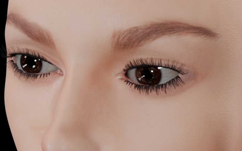 Cornea and Reflections