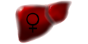Liver